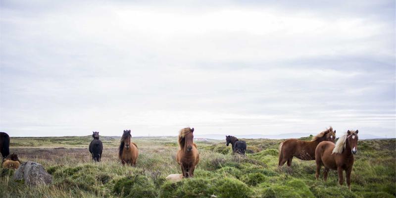 BIM技术如何重塑建筑安装工程：从协同管理到全生命周期维护