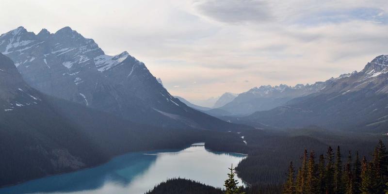 复杂地质条件下深基坑支护与降水安装工程实践：建筑维护与施工的关键挑战
