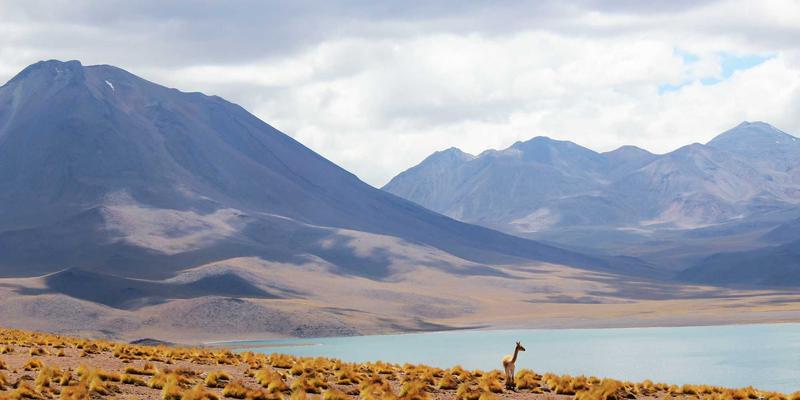 建筑安装55：现代建筑维护与工程服务的核心解决方案