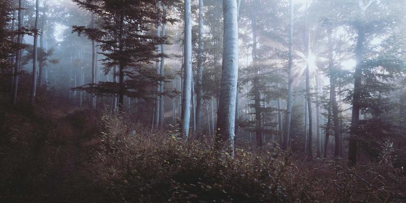 建筑安装64：现代工程服务的核心支柱与建筑维护一体化实践