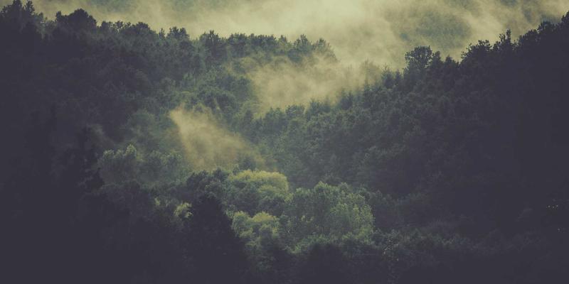 建筑安装6：现代建筑施工、维护与工程服务的整合之道