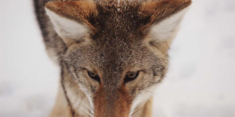 建筑安装84：现代建筑施工中的核心技术与HLJAZ JS体系解析