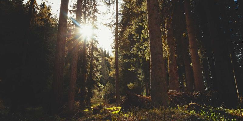 建筑安装与维护一体化：现代建筑全生命周期管理的核心策略