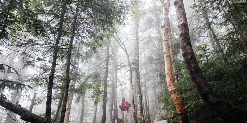 建筑安装工程安全生产管理规范与实践：HLJAZ JS标准下的工程服务新标杆