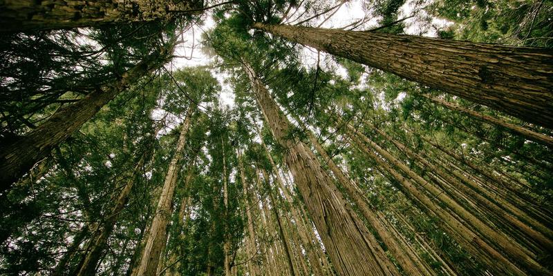 建筑安装最佳实践:从HLJAZ JS标准到施工落地的全面指南