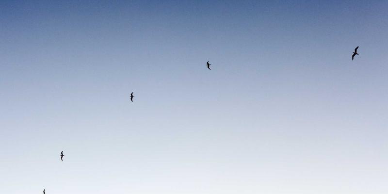 建筑安装进阶：从HLJAZ JS到全周期管理的技术跃迁