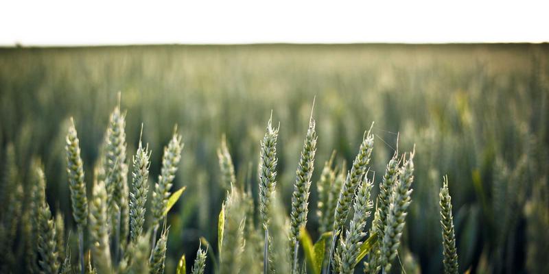 既有建筑电梯加装全流程解析：从政策解读、专业设计到邻里协调的建筑维护关键