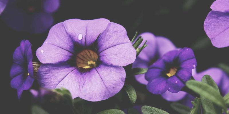 筑牢安全防线：建筑安装工程（HLJAZ JS）安全管理体系构建与风险防控策略