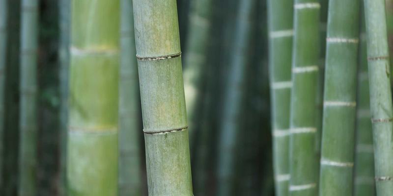 筑牢安全防线：建筑安装工程现场安全管理与风险防控体系构建