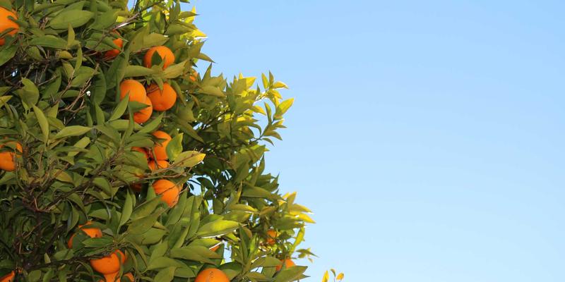 装配式建筑机电管线模块化安装：精度控制与施工效率的双重提升策略